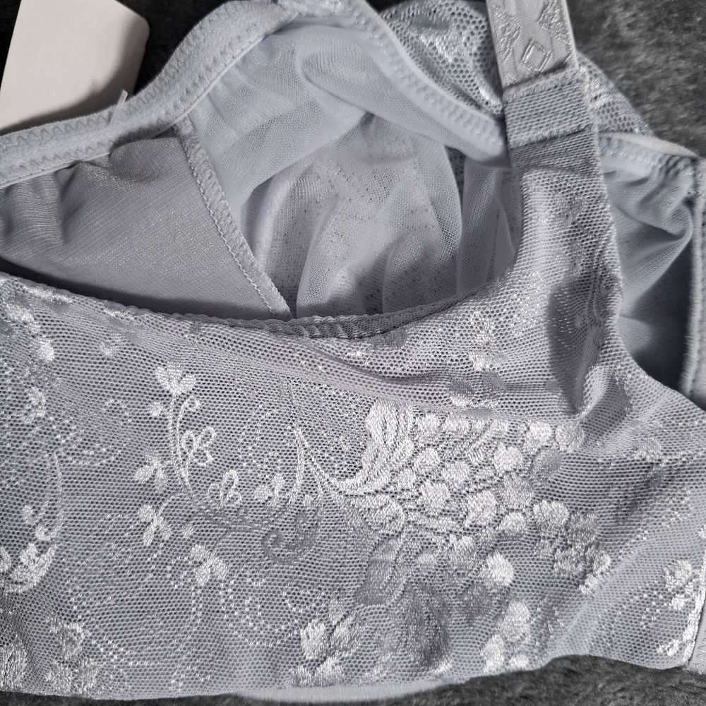 Lunaire Windsor  Lace Floral Satin Bra Underwire Silver 40D NWT - Picture 11 of 11